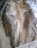 仙泉湖三去白蕉海鱸魚1斤/條凈膛冷凍刺少肉厚珠海特產(chǎn)500g生鮮食材 曬單實拍圖