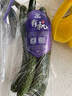 小湯山 有機(jī)黃瓜 約350g 有機(jī)蔬菜基地種植當(dāng)天采摘59元包順豐 曬單實(shí)拍圖