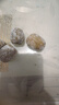 好吃點(diǎn)山西稷山蜜棗金絲蜜棗無(wú)核蜜棗煲湯用蜜棗粽子香甜濃郁美味即食 特級(jí)金絲蜜棗500g3-5g 曬單實(shí)拍圖