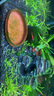 尼特利 NETLEA草缸專用底肥套餐開缸伴侶開缸五寶穩(wěn)定活化植物根系防腐化凈水質(zhì) 開缸組合A 曬單實拍圖