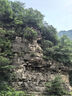 秋葉原（CHOSEAL）RCA蓮花頭數(shù)字同軸線音頻線 發(fā)燒級(jí)公對(duì)公轉(zhuǎn)接線 SPDIF音響電視功放連接線 3米 QS3550T3 曬單實(shí)拍圖