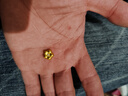 蒂蔻（Tico）足金拉絲小金花項鏈5D金梅花黃金吊墜女鑲嵌莫桑鉆掛墜生日禮物 曬單實拍圖