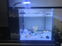 添悅側(cè)濾魚缸懶人魚缸一體自循環(huán)家用客廳玻璃缸過濾魚缸 黑色標(biāo)準(zhǔn)款 40x30x30cm 曬單實(shí)拍圖