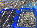 殼牌（Shell）勁霸柴油機(jī)油LD6 5W-30 C3 1L 全合成柴油機(jī)潤滑油輕卡皮卡越野車 曬單實拍圖