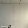 墻紙自粘防水防潮壁紙純色臥室出租房墻面背景墻壁墻貼紙遮丑防霉 膩子白【鋁箔底-細磨砂紋】 120cm寬*20米長(cháng) 曬單實(shí)拍圖