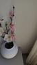 川燁小格調(diào)單枝桃花仿真花日式室內(nèi)餐桌花藝裝飾插花假花客廳擺設(shè)干花 淡粉/枝 曬單實(shí)拍圖