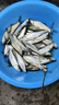 漁夫樂仿生魚皮串鉤釣組海桿拋竿海釣路亞蝦皮飛蠅白條翹嘴魚鉤 彩皮仿生串鉤7號(5付裝) 曬單實拍圖