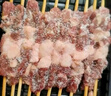 鮮京采內(nèi)蒙古孜然羊肉串凈重2斤 （50串）露營戶外燒烤 京東自有品牌 曬單實拍圖