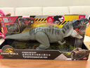 Jurassic World生日禮物男孩恐龍玩具電影同款侏羅紀(jì)世界大電影之霸王龍JCH02 曬單實拍圖