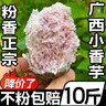 京營(yíng)正宗廣西小芋頭仔粉糯香芋現挖10斤小香芋新鮮紅芽毛芋頭牛奶芋頭 曬單實(shí)拍圖