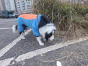 狗狗衣服冬天保暖加厚四腳棉衣中大型犬拉布拉多薩摩金毛寵物服飾 蘋果綠 20號(hào)適合約15到25斤 曬單實(shí)拍圖