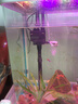 閩江水族高效潛水泵魚(yú)缸配件原裝上過(guò)濾抽水泵R3380R3580R31000R31200 R3-1000/15W（不帶吸盤(pán)） 曬單實(shí)拍圖