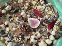 IGG鸚鵡漿果種子糧 鸚鵡鳥糧【860g】飼料葵花灰鸚鵡金剛亞馬遜 曬單實(shí)拍圖
