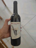 CANIS FAMILIARIS布多格澳大利亞原瓶進(jìn)口紅酒 西拉干紅葡萄酒 750ml 單瓶裝 曬單實(shí)拍圖