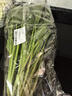 大菠菜300g 曬單實(shí)拍圖