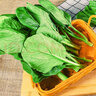 沈佳農(nóng)有機(jī)青秀油菜小油菜上海青當(dāng)季新鮮現(xiàn)摘有機(jī)無農(nóng)殘寶寶輔食300g 有機(jī)青秀油菜300g 曬單實(shí)拍圖