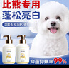 嘟可親（DUKEQIN）比熊專用狗狗沐浴露寵物香波白毛比熊幼犬洗澡去黃留香除臭浴液乳 曬單實(shí)拍圖