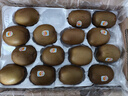 佳沛（zespri）新西蘭陽光金奇異果原箱 16粒巨無霸 單果重約202-230g   獼猴桃 曬單實拍圖