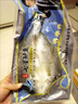 冰凌橙夏 開(kāi)背海鱸魚(yú)調味去麟去腮去內臟 冷凍真空鎖鮮開(kāi)袋即烹海鮮水產(chǎn) 三去海鱸魚(yú)5條裝(400-500g/條) 曬單實(shí)拍圖