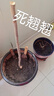 特大果高產(chǎn)藍莓苗帶土發(fā)貨藍莓樹(shù)苗南方北方種植盆栽地栽當年結果 3年苗（當年可少量結果） 40cm(含)-50cm(不含) 曬單實(shí)拍圖