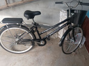 飛鴿 FG FLYING PIGEON自行車成人男女式全軸承24/26寸雙碟剎輕便男女士大學(xué)生代步單車 碟剎 黑色【單速】充氣胎+全軸承 26英寸建議身高165-180 曬單實拍圖