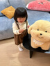 嬰果小島鄺玲玲同款金毛小狗玩偶公仔毛絨玩具娃娃送女友生日禮物女跨新年 錄音款【圍兜款+骨頭發(fā)夾】 20厘米 曬單實(shí)拍圖