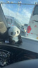 順璨汽車載定位器追蹤器神器磁吸電動(dòng)車摩托車輛防盜防丟失gps微型 黑色磁吸款+定位【通用款】 曬單實(shí)拍圖