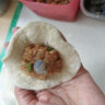 1號(hào)會(huì)員店黑虎蝦仁 0添加人工保水劑 海鮮水產(chǎn) 去蝦線 凈重1Kg（66-88只） 曬單實(shí)拍圖
