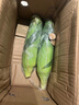 京鮮生云南水果玉米 凈重5斤單果280g+ 甜玉米棒新鮮蔬菜應季 源頭直發(fā) 曬單實拍圖
