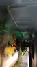 瘋狂水草魚(yú)缸造景適配小mi魚(yú)缸貼紙背景板亞克力生態(tài)魚(yú)缸裝飾擺件高清布景 【高清背板】翠波仙境 不含缸 曬單實(shí)拍圖