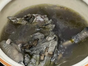 滇味十足（DIANWEISHIZU）野生干巴菌 云南新鮮名貴珍稀菌菇 山珍煲湯食材營養(yǎng)美味野生菌 1斤【順豐空運(yùn)】 曬單實(shí)拍圖