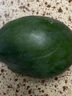 京鮮生 攀枝花凱特芒果 凈重4.5斤 帶箱5斤 單果400g+ 生鮮水果源頭直發(fā) 曬單實(shí)拍圖