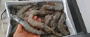 大莊園新西蘭羊肉片卷2斤【歐盟認(rèn)證】涮肉火鍋食材 冷凍羊肉羊肉卷 曬單實(shí)拍圖
