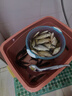 北溟魚(yú)磯釣滑漂夜光魚(yú)漂電子漂遠(yuǎn)投咬鉤變色醒目加粗大物路滑浮漂 日夜兩用咬鉤變色【兩粒電池】 火舞遠(yuǎn)投滑漂B-01 吃鉛約3.5g 曬單實(shí)拍圖