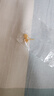 周六福5G工藝鏤空小金珠黃金耳釘女七夕禮物計價A0913609 一對 約1.81g  曬單實拍圖