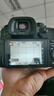 松下S1H S1R S5 GH4 GH5 GH5S G9全畫幅視頻攝影微單二手鏡頭 GH5S 機(jī)身【視頻強(qiáng)化】 95新 曬單實(shí)拍圖
