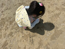 卡爾美（KELME）兒童帽子防曬帽遮陽帽男女童夏寶寶太陽帽海邊沙灘3-6-12歲大帽檐 曬單實(shí)拍圖