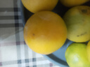 屈姑[宜昌秭歸產(chǎn)地直發(fā)]夏橙臍橙果園新鮮采摘原產(chǎn)地果園橙子手剝橙 3斤實(shí)惠裝果徑（果徑55-60mm） 曬單實(shí)拍圖