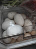 品鮮夫人 新鮮正宗土鵝蛋 農家精選特產(chǎn)散養雜糧谷物喂養新鮮土鵝蛋孕婦 新鮮大鵝蛋120g-150g*12枚 曬單實(shí)拍圖