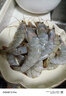 GUO LIAN原裝進口白蝦 3.3斤凈重 特大號49-66只 源頭直發(fā)海鮮海產(chǎn)冷凍蝦 曬單實拍圖