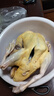 【大廠(chǎng)貨源】生鮮現殺白番鴨豚鴨農家紅頭嘴臉散養土老鴨子洋飛鴨 5-6斤/只 曬單實(shí)拍圖