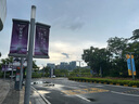 赟婭卡皮巴拉盲盒解壓玩具手辦桌面擺件汽車載搖頭裝飾高級(jí)感生日禮物 豬柿圓滿_莓有煩惱【2件套】 曬單實(shí)拍圖