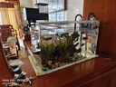 YEE魚(yú)缸金晶超白玻璃水族箱小型桌面客廳40金魚(yú)缸裸缸熱彎魚(yú)缸自循環(huán) 金晶超白熱彎缸 40*24*25cm 曬單實(shí)拍圖