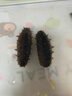 曉芹 大連冷凍即食海參 遼刺參 海鮮水產(chǎn) 固形物≥75% 中秋禮盒 500g15-20只 曬單實拍圖