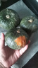 京鮮匠【JD快遞】（JD金榜TOP1）山東貝貝南瓜 栗香小南瓜粉糯 產(chǎn)地直發(fā) JD快遞 實(shí)惠裝 凈 4.5斤 （4-9個(gè)） 曬單實(shí)拍圖
