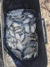 霸統低溫促食劑高濃度濃縮蚯蚓液釣魚(yú)小藥野釣黑坑水庫鯽鯉誘魚(yú)開(kāi)口劑 高濃縮蚯蚓液 曬單實(shí)拍圖