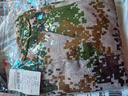 龍偉聯(lián)合軍訓(xùn)迷彩服裝全套夏天高中訓(xùn)練服棉夏季速干大學(xué)生軍訓(xùn)服短袖套裝 曬單實(shí)拍圖