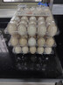 【無抗】大碼鮮雞蛋1.8kg 曬單實拍圖