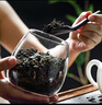 全適高硼硅玻璃茶葉罐旅行茶罐密封罐咖啡防潮儲(chǔ)物罐普洱茶葉盒茶葉桶 曬單實(shí)拍圖