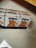 舒潔（Kleenex）手帕紙小熊印花紙巾9張/包 迷你便攜 濕水不易破 小熊印花 3層 9張*40包 曬單實(shí)拍圖